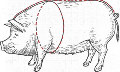 Как определить вес свиньи без весов
