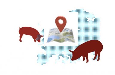 Свинина рост и падение цен