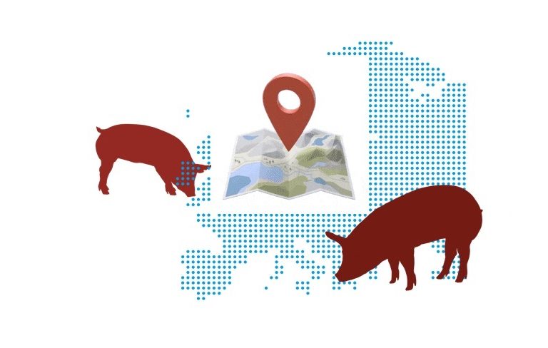 Свинина рост и падение цен